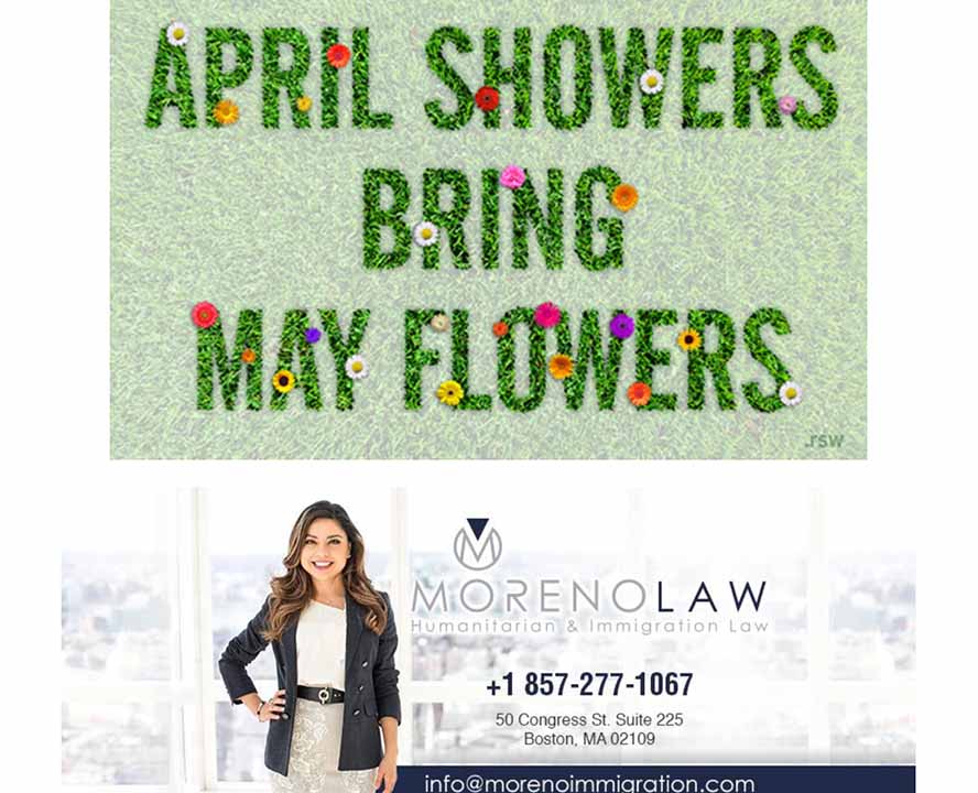 Moreno Law Newsletter Eighth Edition